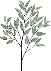 Fototapeta premium simplicity eucalyptus leaf freehand drawing.