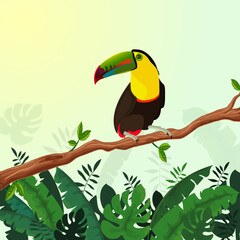 Ilustración de tucán sobre una rama