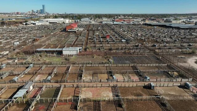 Massive cattle stockyard in OKC USA. Aerial view above pens and animals.