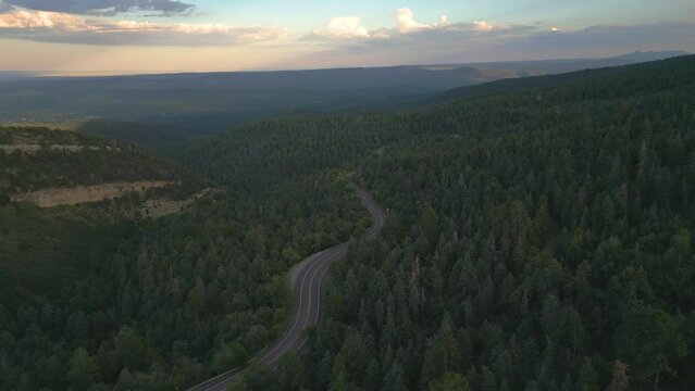 Desolate Road In Coniferous Forest Near Sandia Crest In Bernalillo County, New Mexico, United States. Aerial Drone Shot