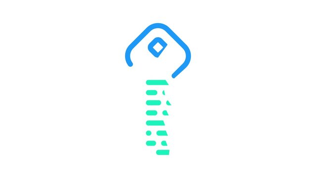 digital key color icon animation