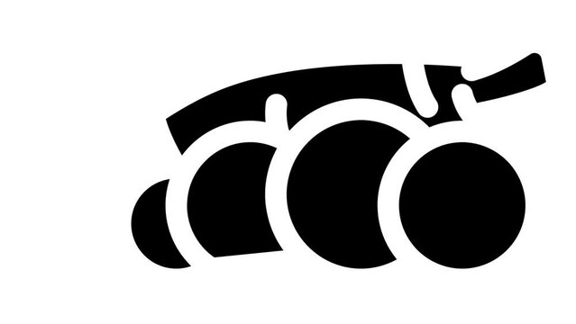 manioc natural vegetable glyph icon animation