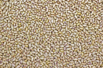 close up of a lot of grain