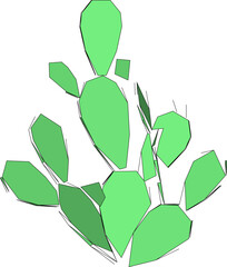 Desert Indian Fig with white baground