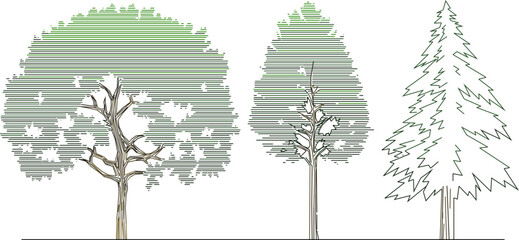 minimalist tree sketch with white background