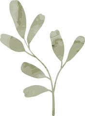 Watercolor leaf branch illustration