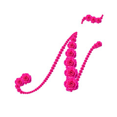 Obraz premium Letra Ñ hecha con foto de rosa baby color fuccia