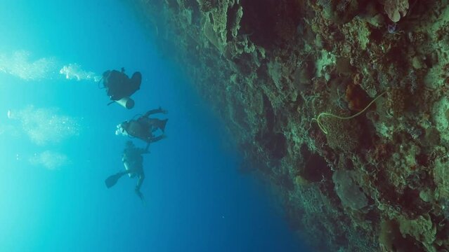 vertical video of scuba divers on coral wall reef underwater in the ocean in Nusa Penida, Bali, Indonesia