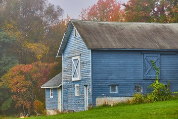 Beautiful aging blue barn shed with vines tucked against fall forest edge