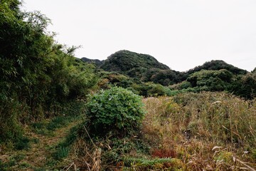landscape of south Izu peninsula in Japan