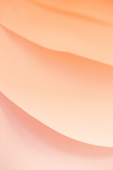  Paper texture in pink colors.Wallpaper abstract with pink color gradient.Soft focus. Pink layers...