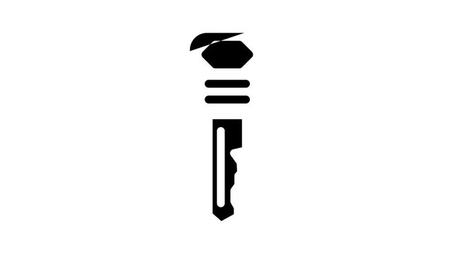 standard english key glyph icon animation