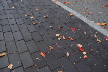 autumn leaves on the street. Fall is here
