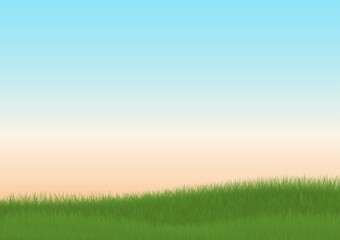 Fototapeta na wymiar green grass field background