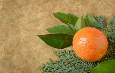 Orange on a blurred dark beige background with a sprig of thuja
