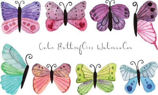 a set of cute hand painted butterfly watercolor