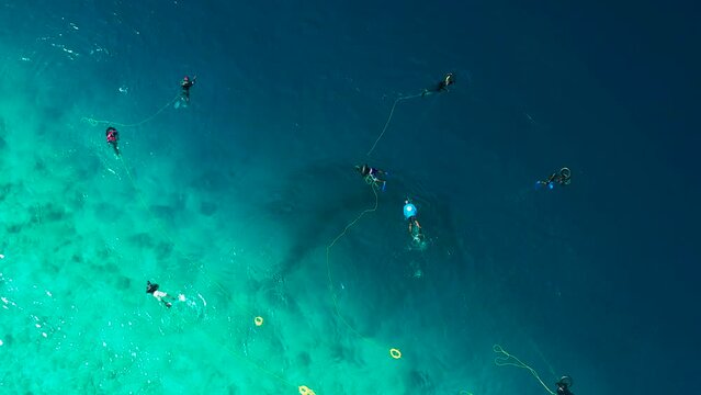 Fishermen divers set up fishing nets in the turquoise sea to catch fish on local island Ukhulas in Maldives. Aerial drone view on top.