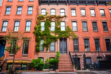 Beautiful green vines on brick apartment building in Greenwich Village New York City