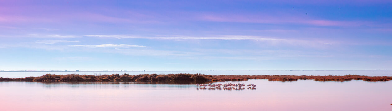 Delta de l'Ebre,  Natural park,  Tarragona province,   Catalonia in Spain