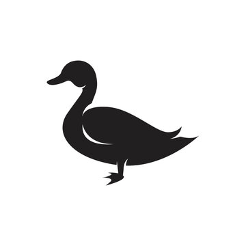 Duck or goose silhouette isolated