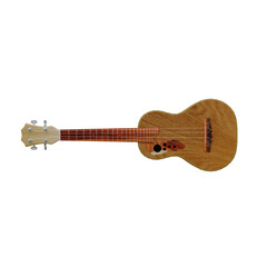Ukulele isolated