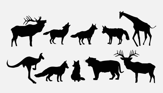 Vector animal shadow, animal logo, vector art, icons