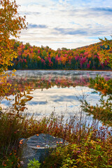 Peacefully foggy lake surface with peak foliage forests around