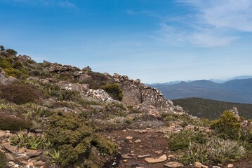 Obraz premium Hartz Peak Hike in Tasmania, Australia in Summer