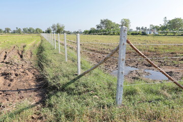 Fototapeta na wymiar Concrete pillars with barbed wire fence. Newly built outdoor barbed wire fence For preventing invasion and blocking the boundaries of mixed farming farms with copy space with selected focus points.