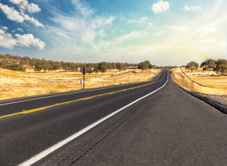 Asphalt road and country landscape with sunny sky