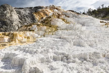 Poster Terraces in Yellowstone © Fyle