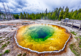 Morning glory pool in Yellowstone in the USA - 553391539