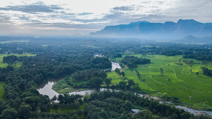 Fototapeta premium Aerial landscape of Palakkad Paddy Fields, Kerala.