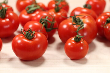 畑で採れたて新鮮トマトが並ぶ