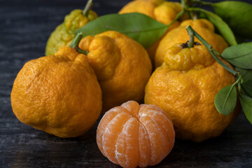 Tangerines or clementines with green leaves on black background