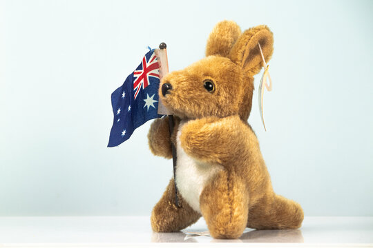 stuffed kangaroo from australia carrying the australian flag