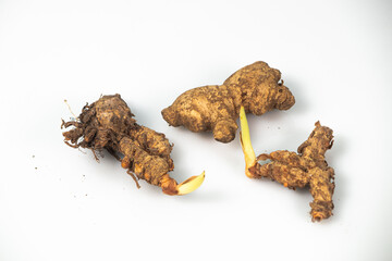 turmeric, ginger, and laotian spices and herbs on a white background