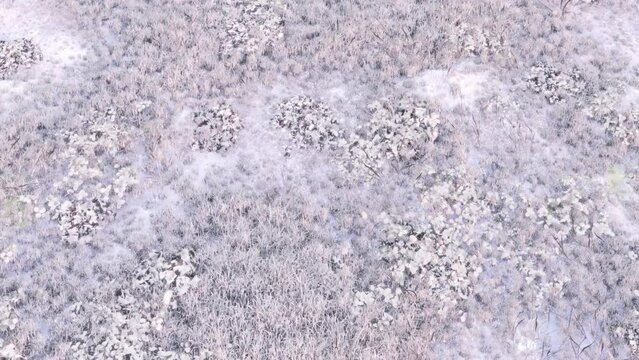 Beautiful incredible smooth video transition between winter and summer meadow. Photorealistic 3d rendered footage. Ready to use ultra detailed perfect 4K video. Slow drone camera motion view