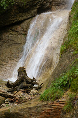 Fototapeta premium Wasserfall in der Höllschlucht, Nesselwang, Allgäuer Alpen, Allgäu, Bayern, Deutschland