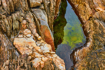 Mineral veins and layered rocks next to small tide pool in low tide
