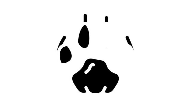 tiger hoof print glyph icon animation
