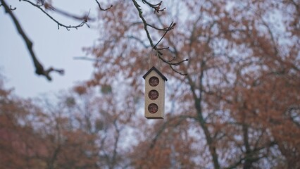 Bird Feeder Full of Sunflower Seed Hanging on Tree Branch on Cold Cloudy Autumn Day