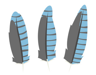 Set of blue jay feathers in flat style. Beautiful design elements.