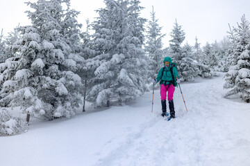 Fototapeta na wymiar A woman walks in snowshoes in the mountains, winter trekking