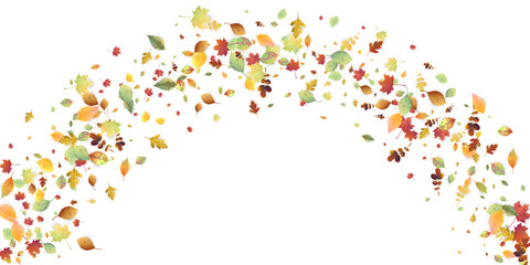 Leaves Falling Autumn Foliage Chaotic Leaf Flying