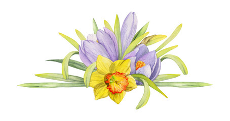 Watercolor hand drawn composition with spring flowers, crocus, snowdrops, daffodils, bow, gift tag. Isolated on white background. For invitations, wedding, greeting cards, wallpaper, print, textile.