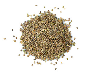 hemp seed isolated on white background