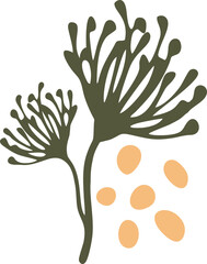 Botanical Art Illustration Vector