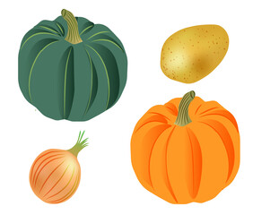 Set of vegetables with potatoes, pumpkin and onion. PNG illustration isolated on transparent background.