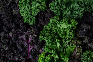 red and green kale on brown wooden surface - 553413323